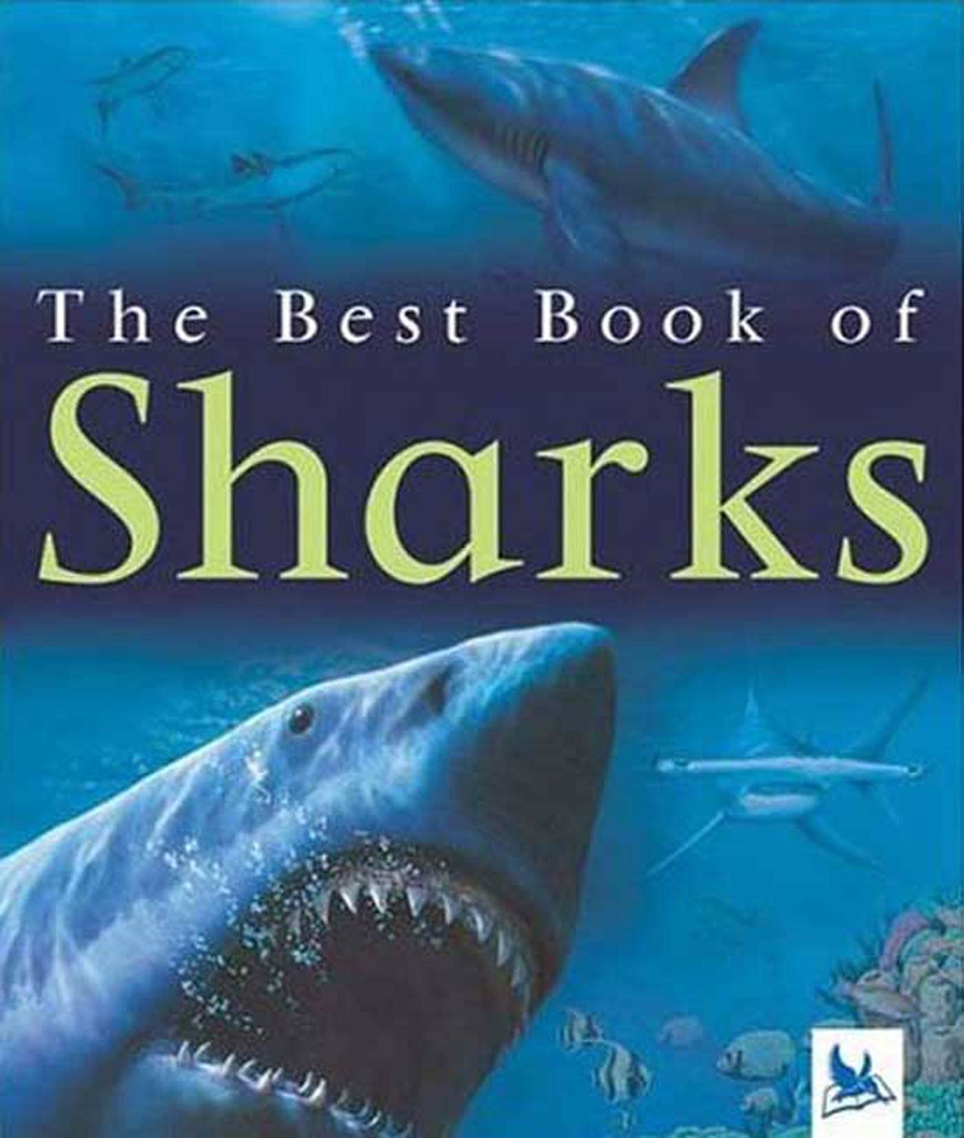 My Best Book of Sharks (The Best Book of) used book depot