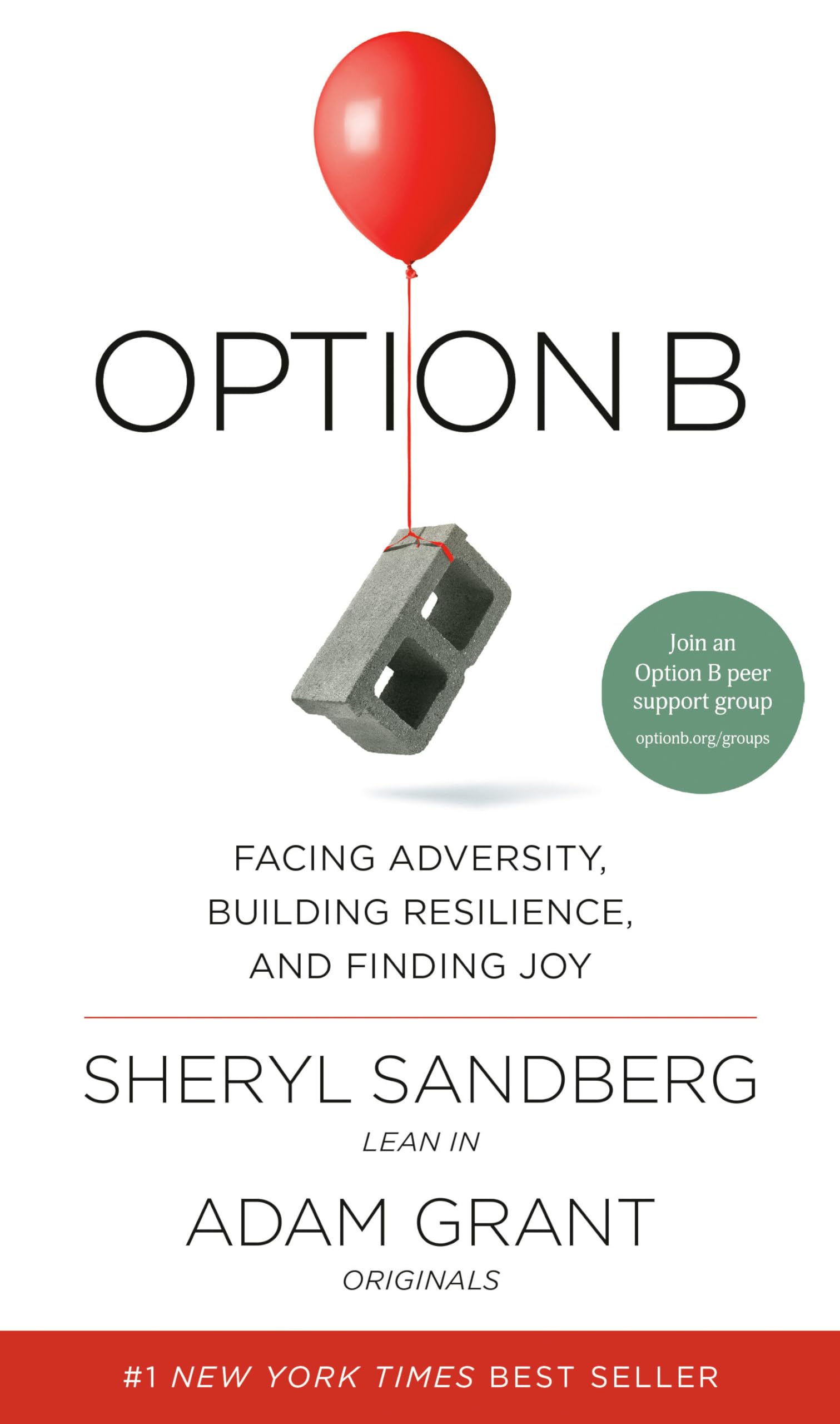 Option B: Facing Adversity, Building Resilience, and Finding Joy used book depot