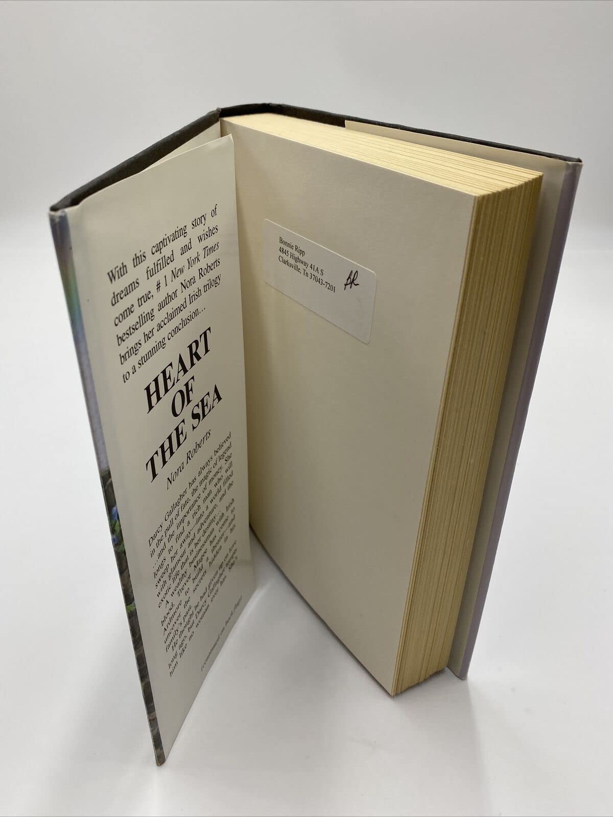 Heart of the Sea (The conclusion to the Enchanting Irish Trilogy)