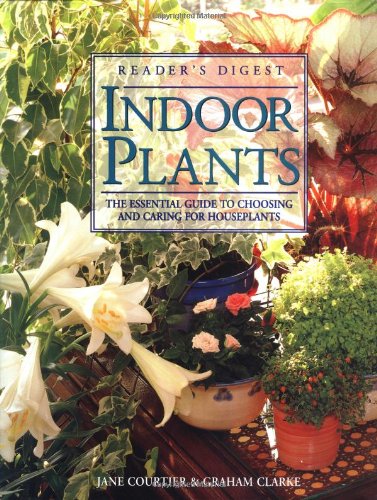 Indoor Plants: The Essential Guide to Choosing and Caring for Houseplants used book depot