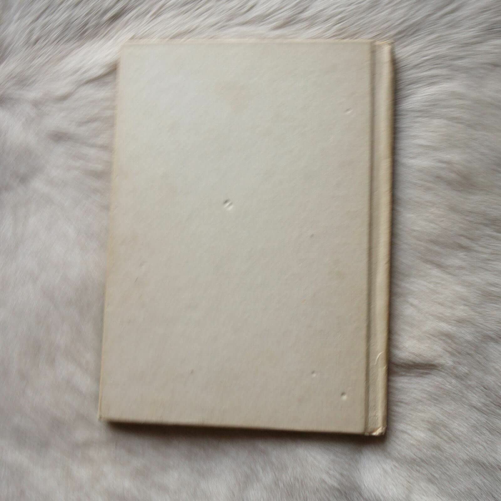 Peter Pan and Captain Hook (Disney's Wonderful World of Reading) used book depot