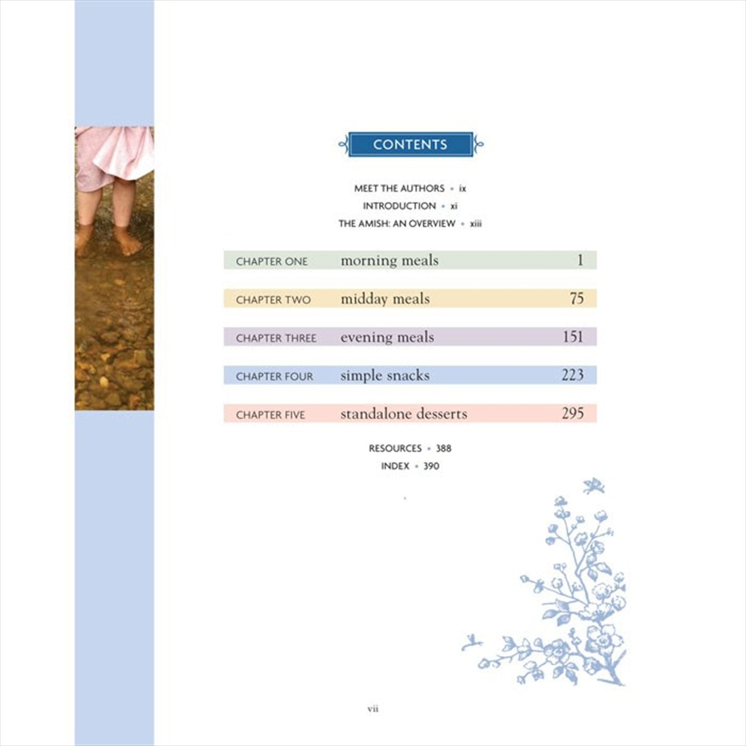 The Amish Cook's Family Favorite Recipes by Lovina Eicher (2013-01-01) used book depot