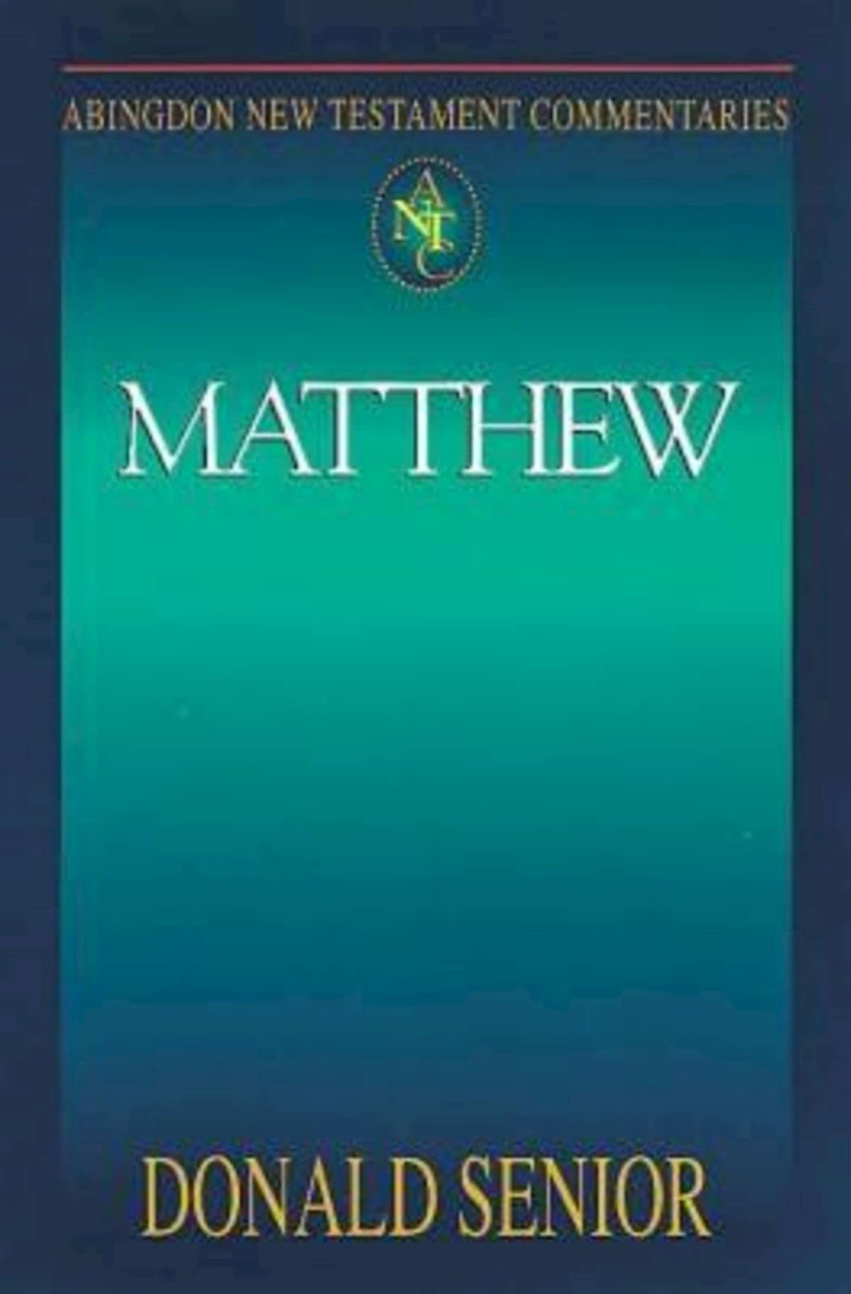 Abingdon New Testament Commentaries: Matthew used book depot