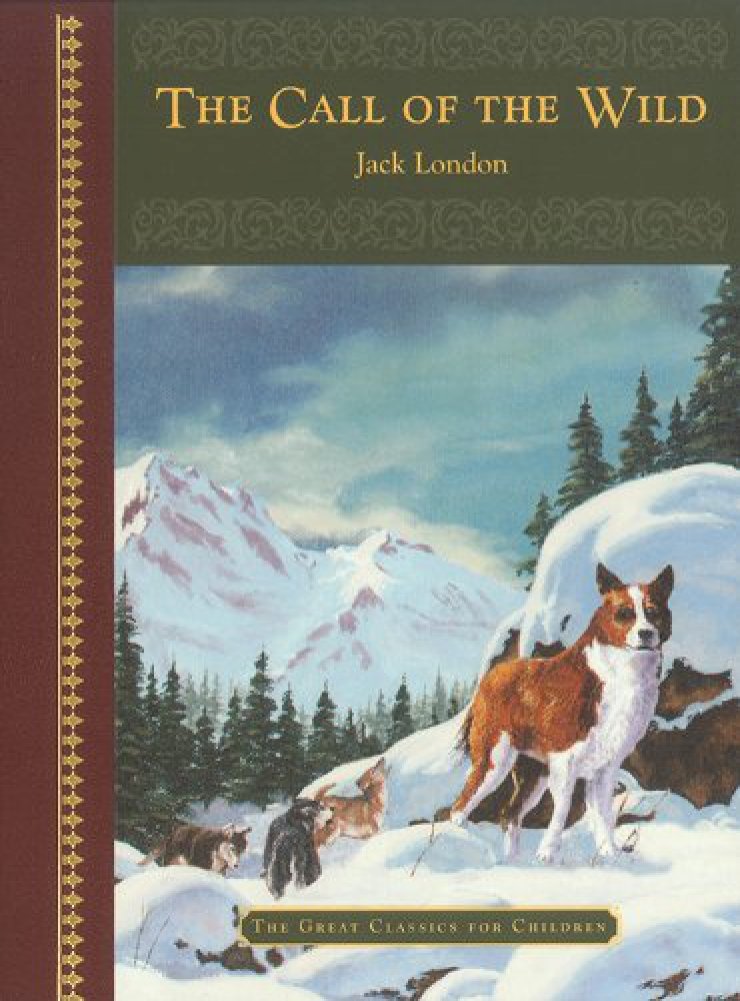 Bendon Publishing Call of The Wild used book depot
