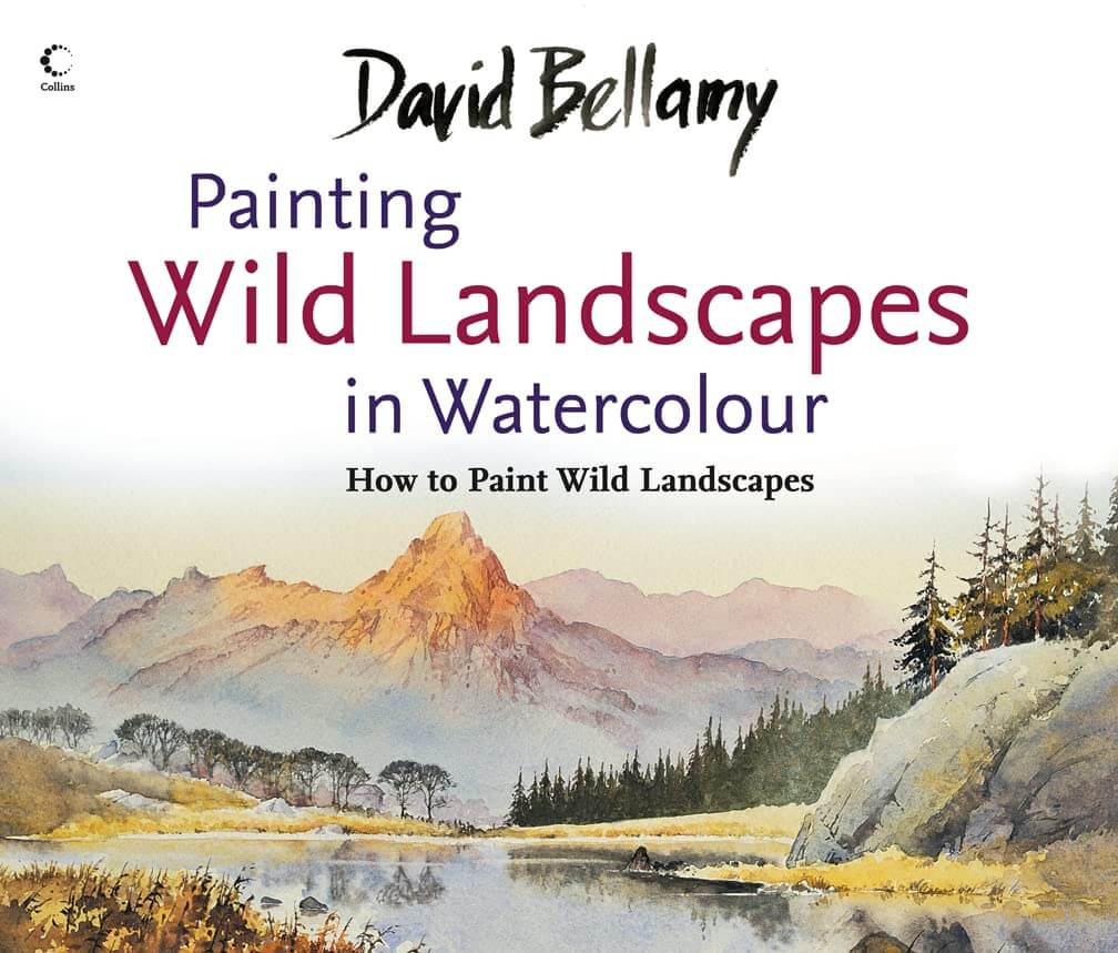 David Bellamy’s Painting Wild Landscapes in Watercolour used book depot
