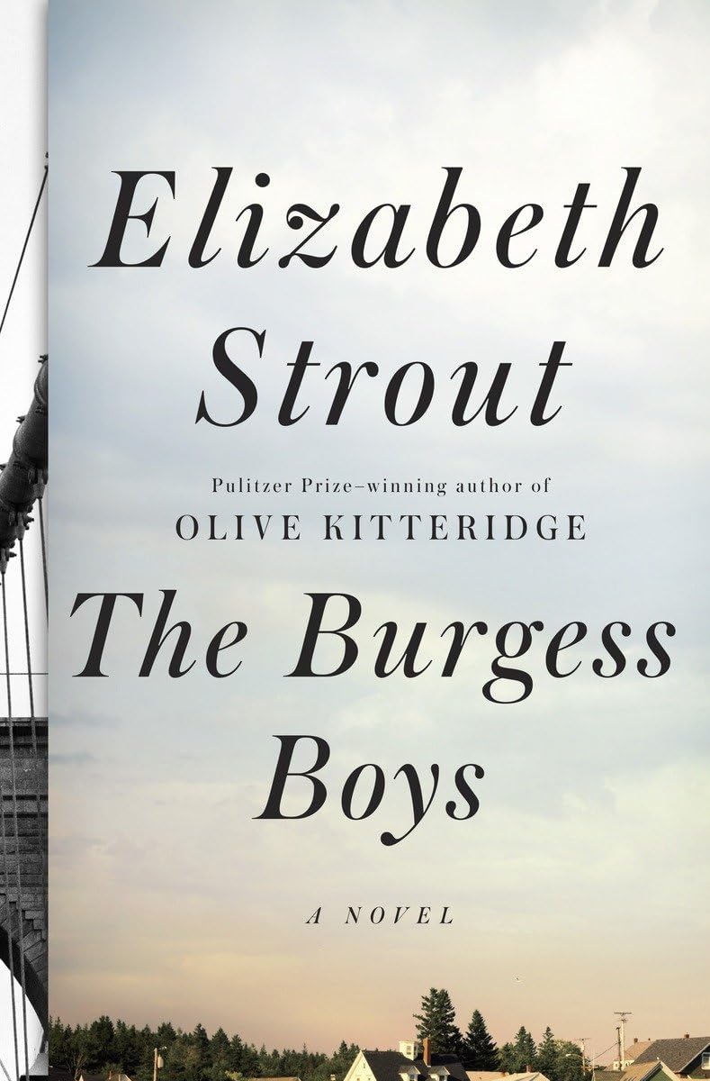 The Burgess Boys: A Novel used book depot