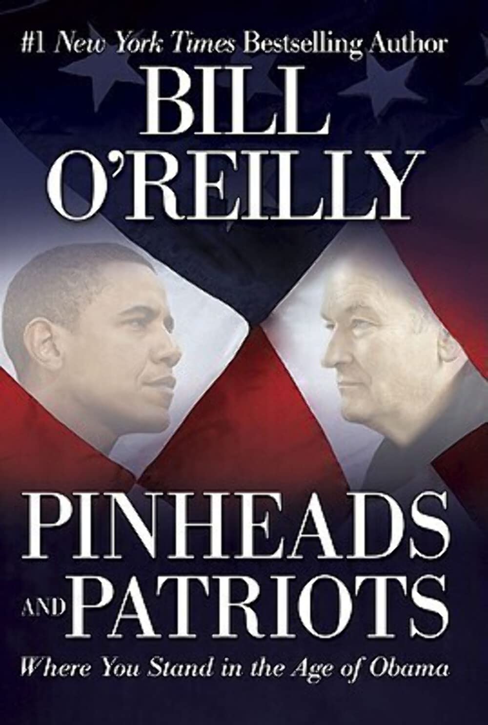 Pinheads and Patriots: Where You Stand in the Age of Obama used book depot