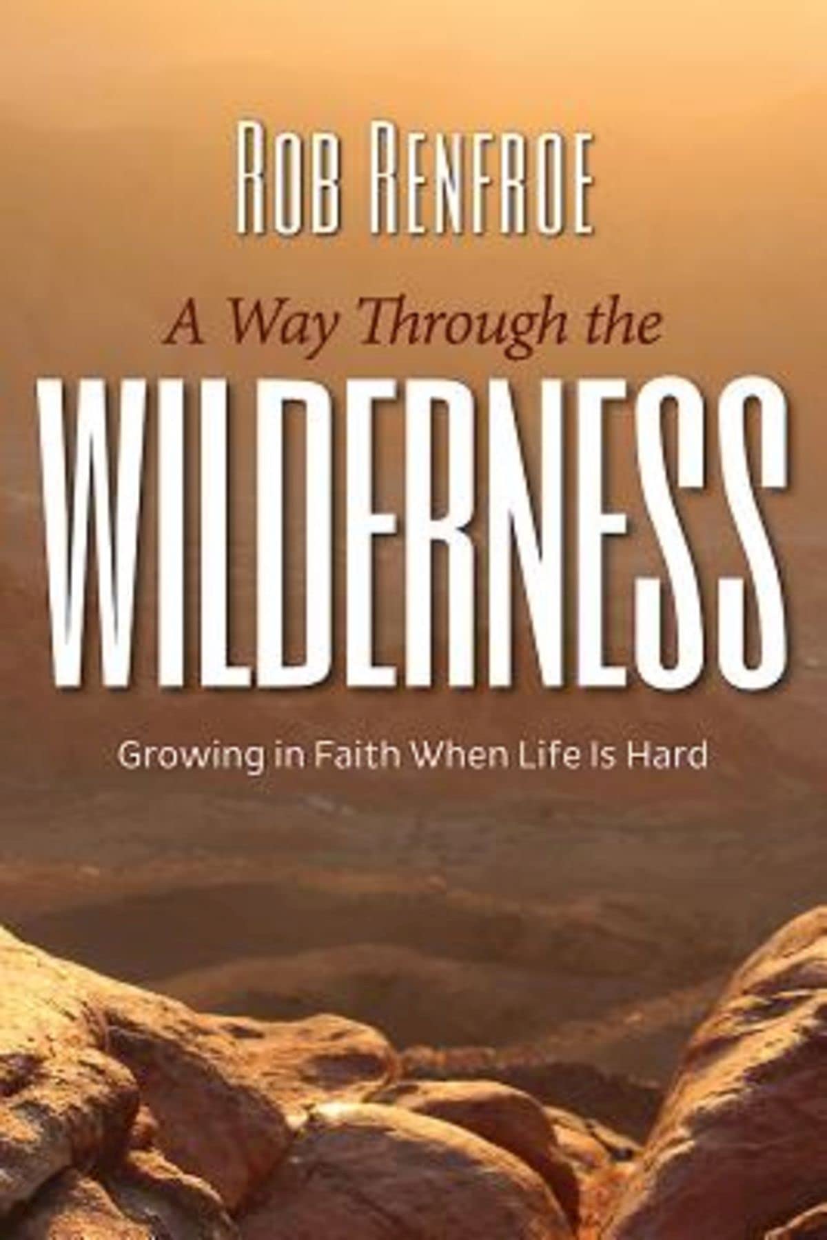 A Way Through the Wilderness: Growing in Faith When Life Is Hard used book depot