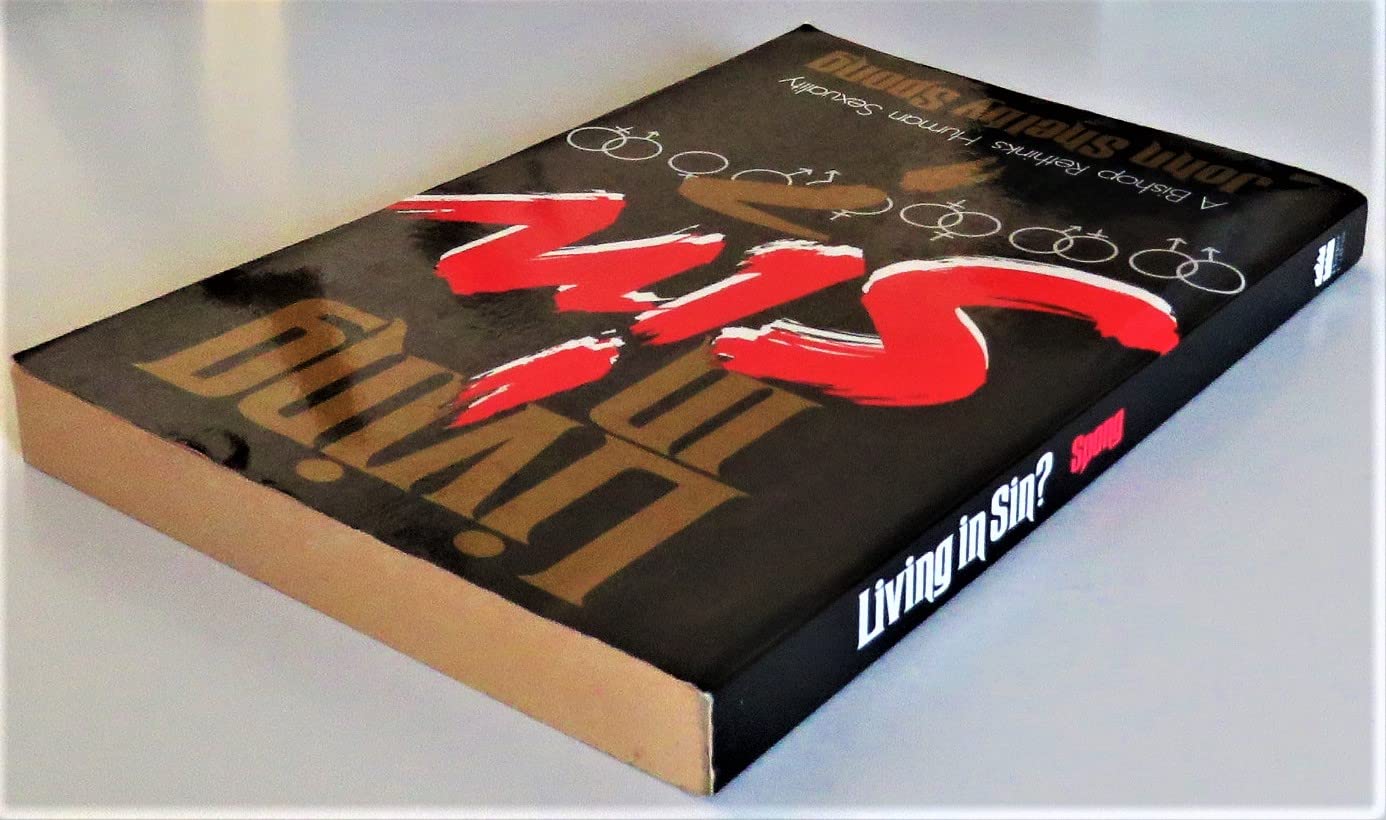 Living in Sin?: A Bishop Rethinks Human Sexuality used book depot