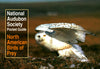 National Audubon Society Pocket Guide to North American Birds of Prey National Audubon Society Pocket Guides NATIONAL AUDUBON SOCIETY
