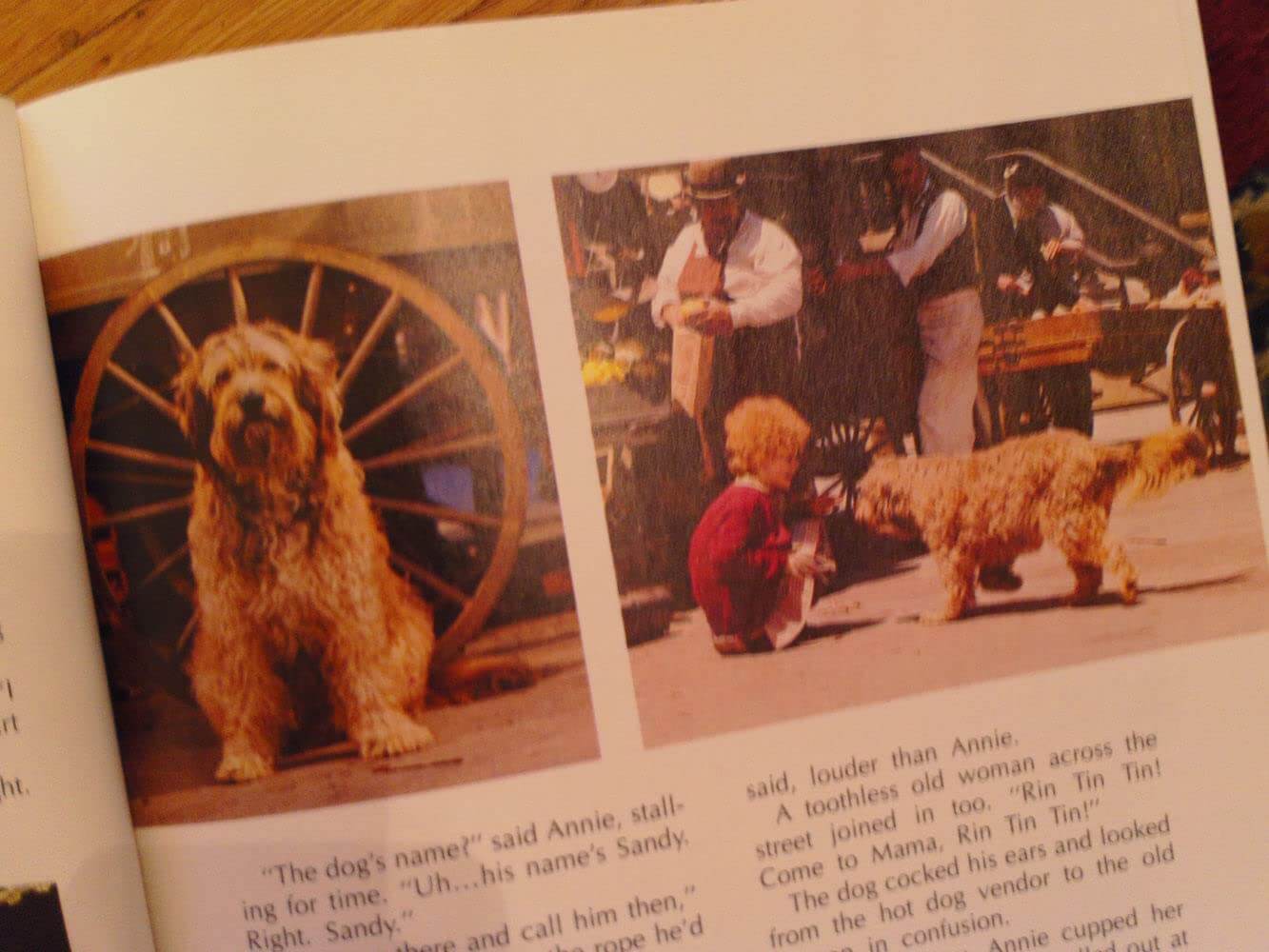 ANNIE: THE STORYBOOK BASED ON THE MOVIE used book depot