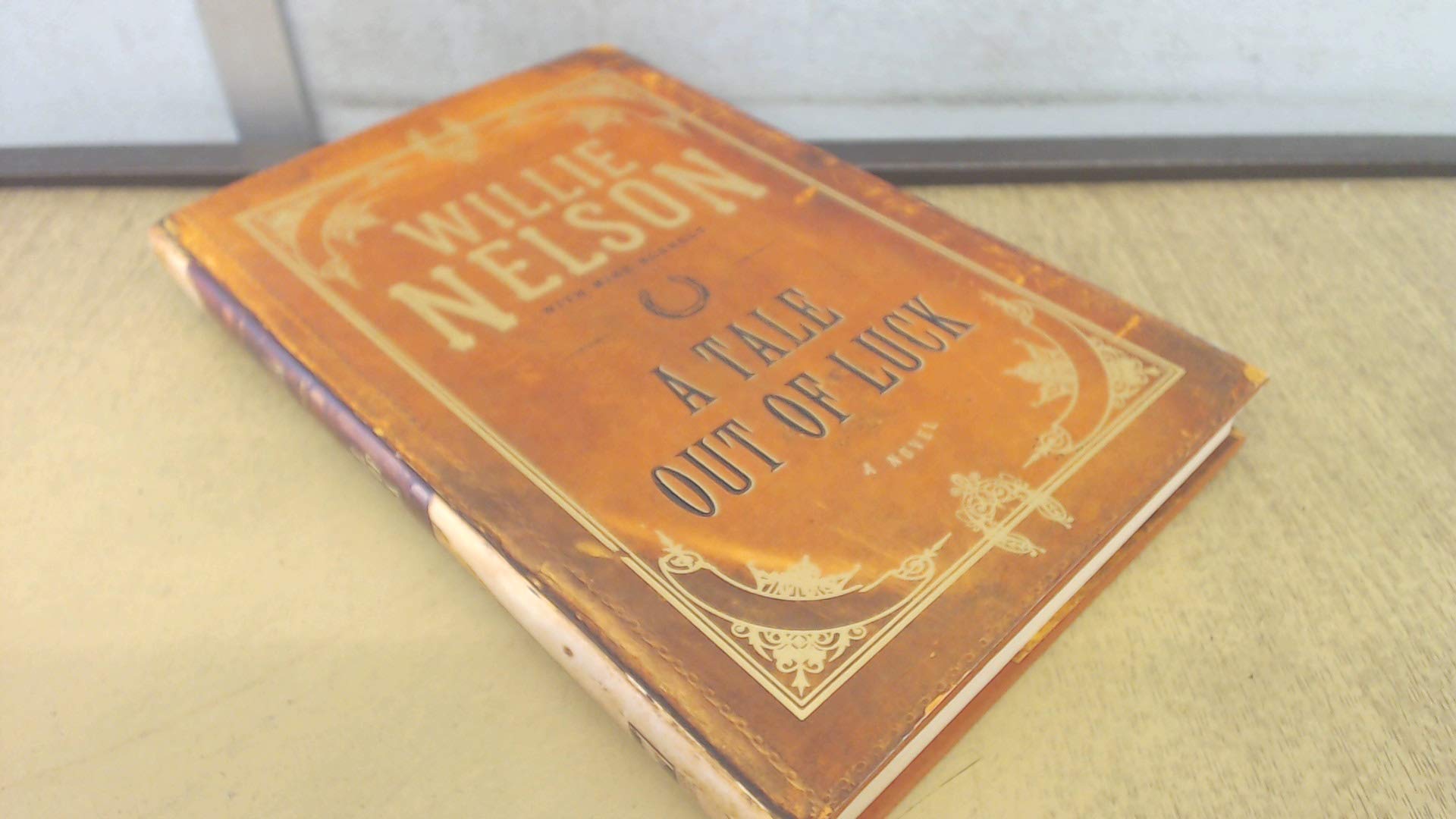 A Tale Out of Luck: A Novel used book depot