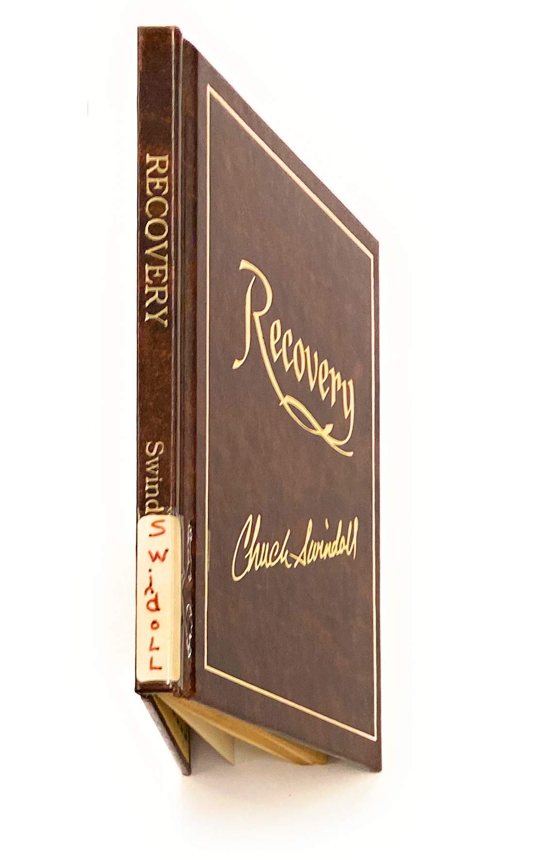 Recovery: When healing takes time (Lifemaps) used book depot