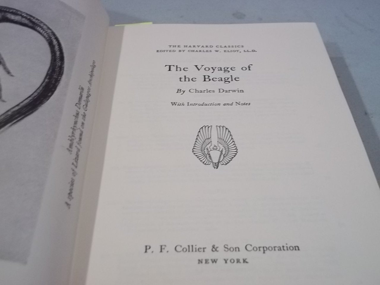 The Voyage of the Beagle (The Harvard Classics) Deluxe Edition used book depot