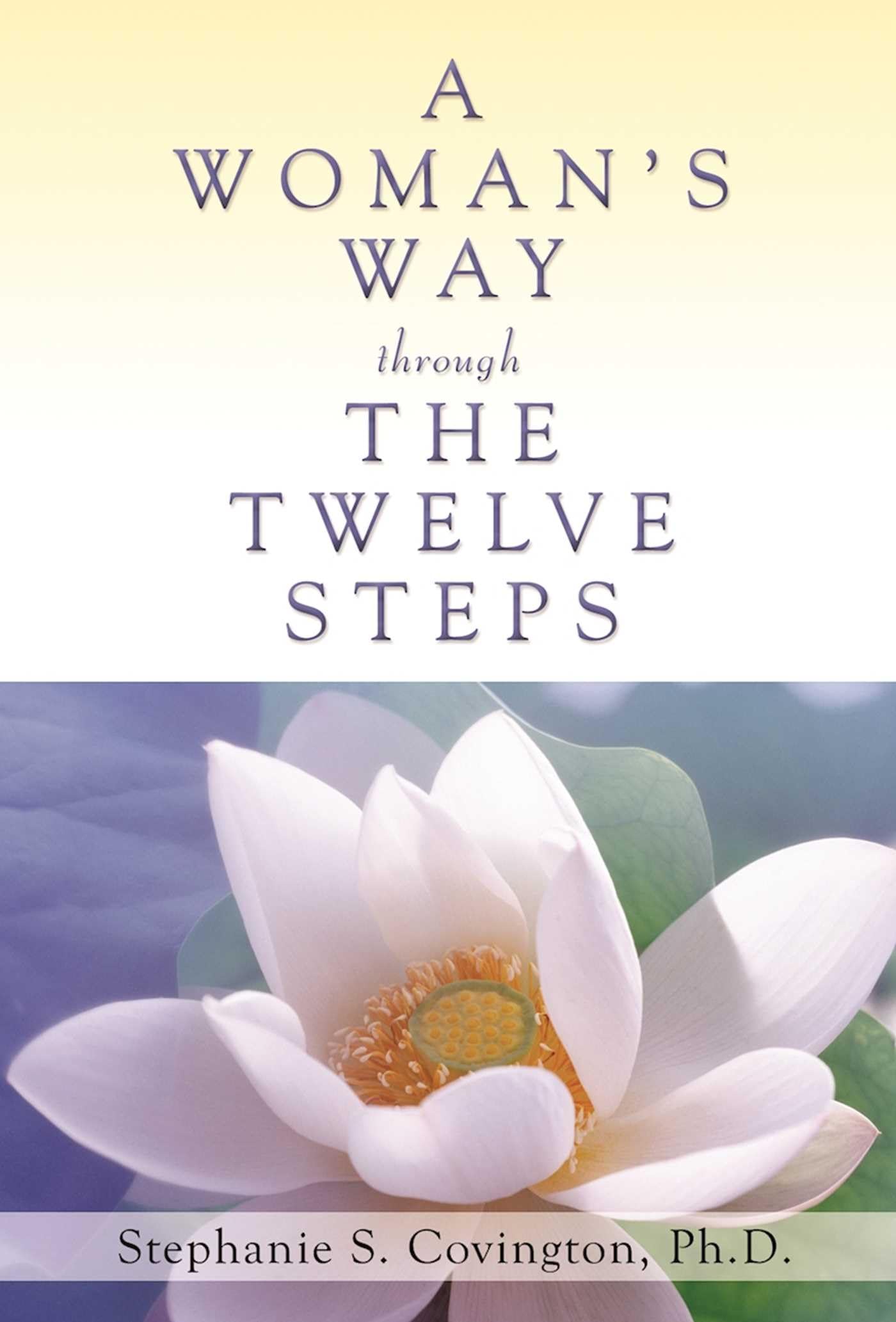 A Womans Way Through The Twelve Steps used book depot