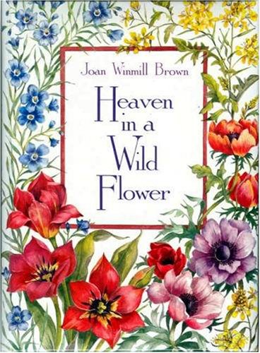 Heaven in a Wildflower used book depot