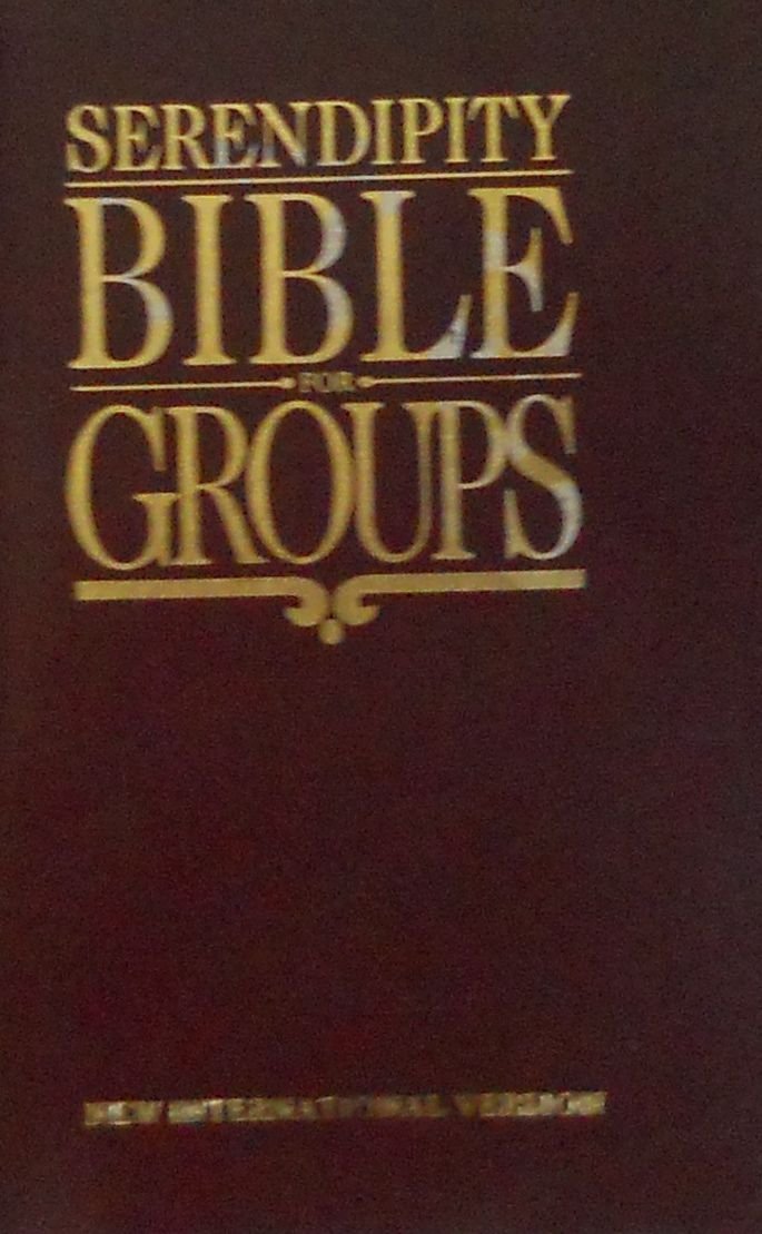 Serendipity Bible for Groups used book depot