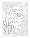 A Walk in the Garden Adult Coloring Book Majestic Expressions Meidal, Jeanette