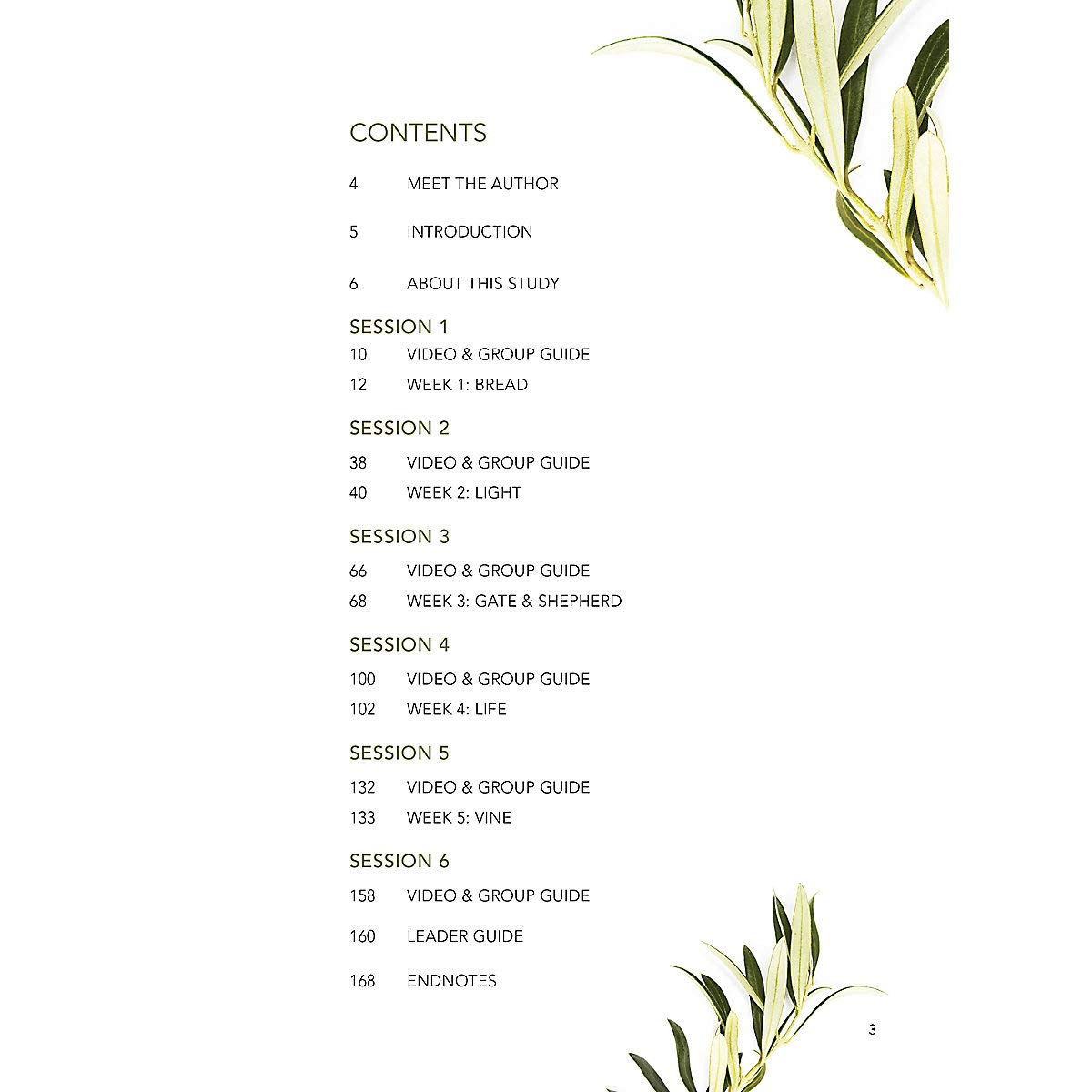 Finding I AM: How Jesus Fully Satisfies the Cry of Your Heart - Bible Study Book used book depot