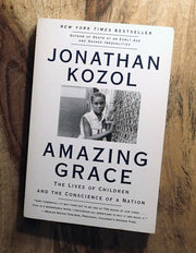 Amazing Grace: The Lives of Children and the Conscience of a Nation used book depot