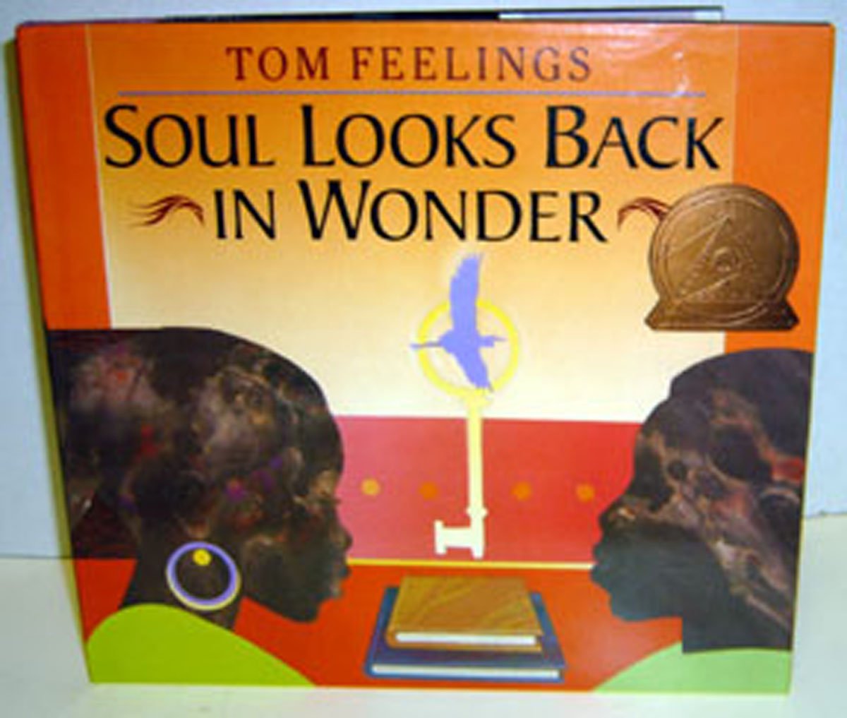 Soul Looks Back in Wonder used book depot