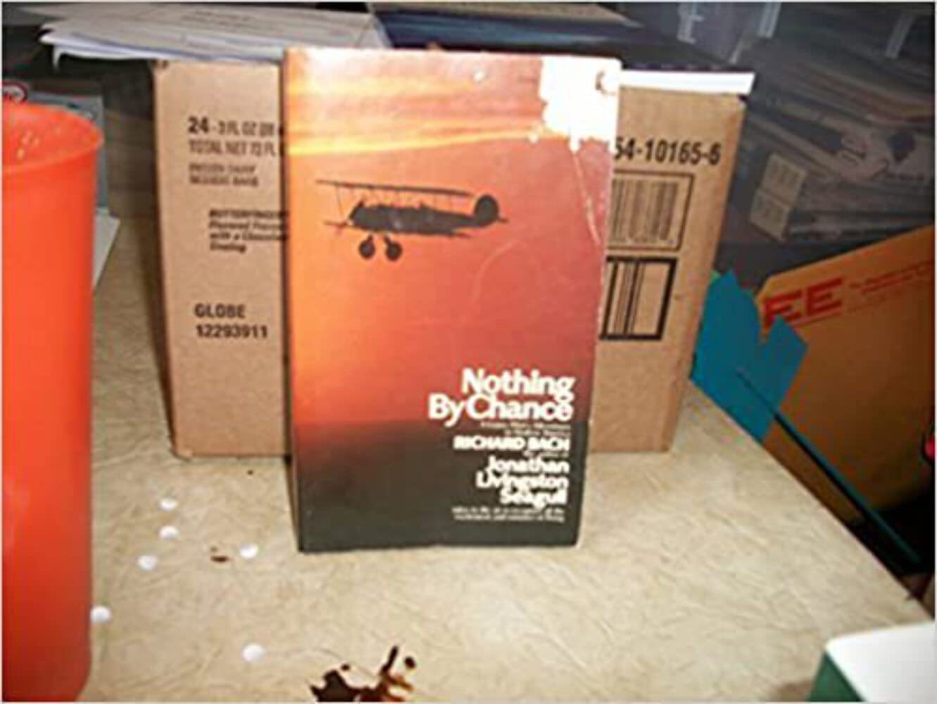 Nothing by Chance: A Gypsy Pilot's Adventures in Modern America used book depot