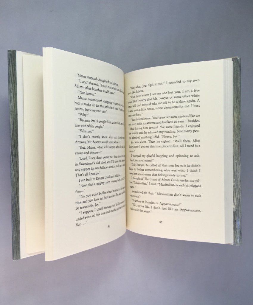 The Ballad of Lucy Whipple used book depot