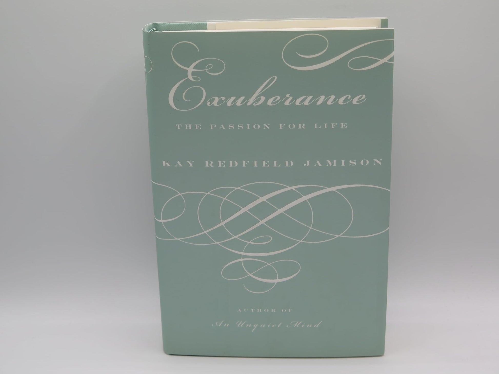 Exuberance: The Passion for Life used book depot