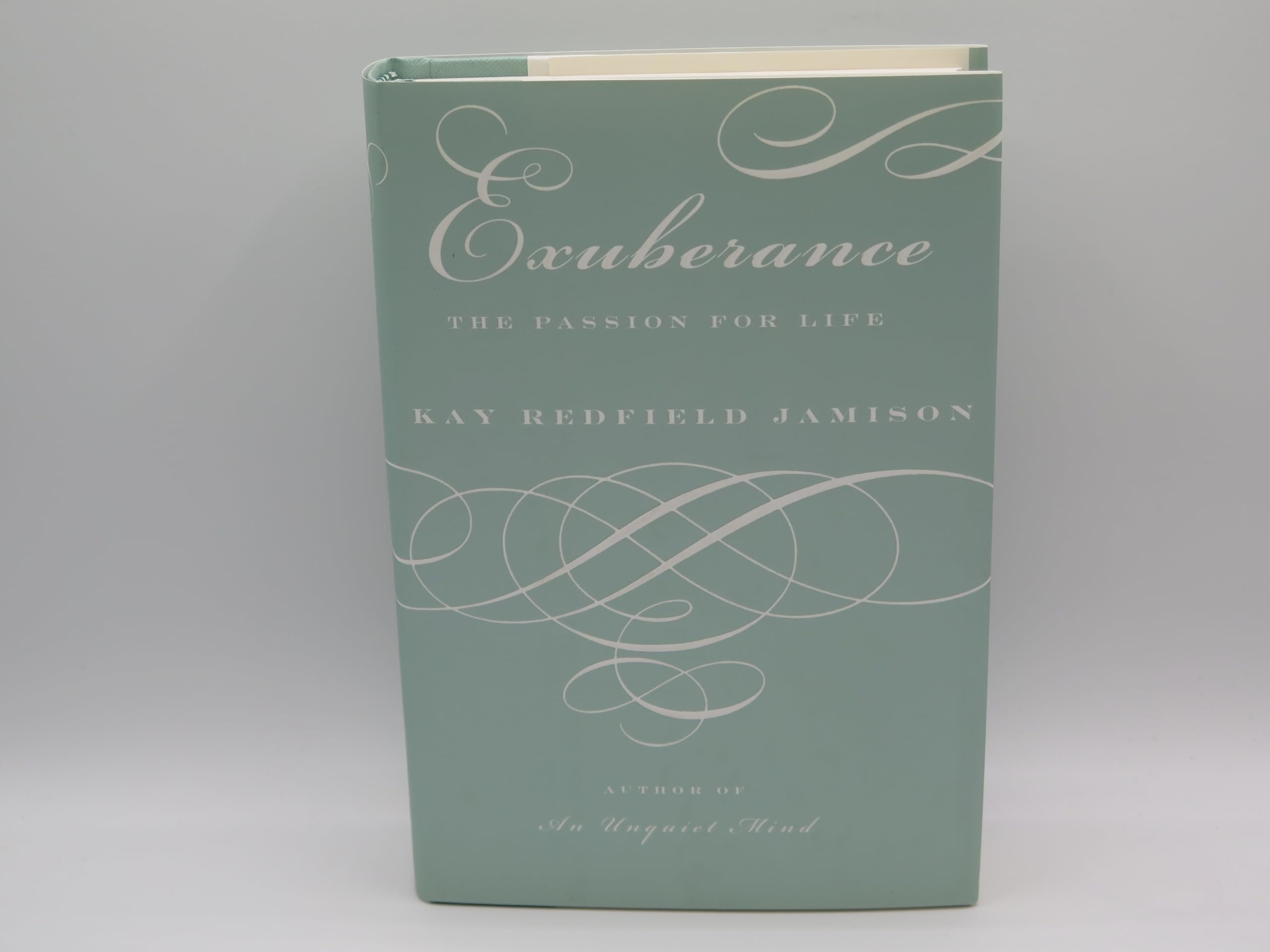 Exuberance: The Passion for Life used book depot