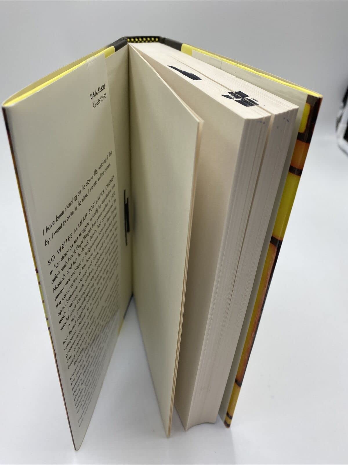 Loving Frank: A Novel used book depot