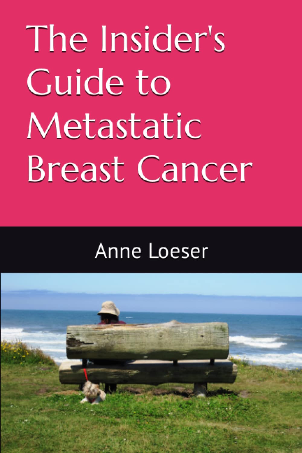 The Insider's Guide to Metastatic Breast Cancer: A Summary of the Disease and its Treatments used book depot