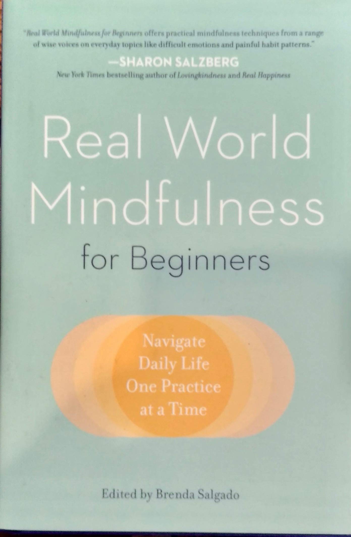 Real World Mindfulness for Beginners used book depot