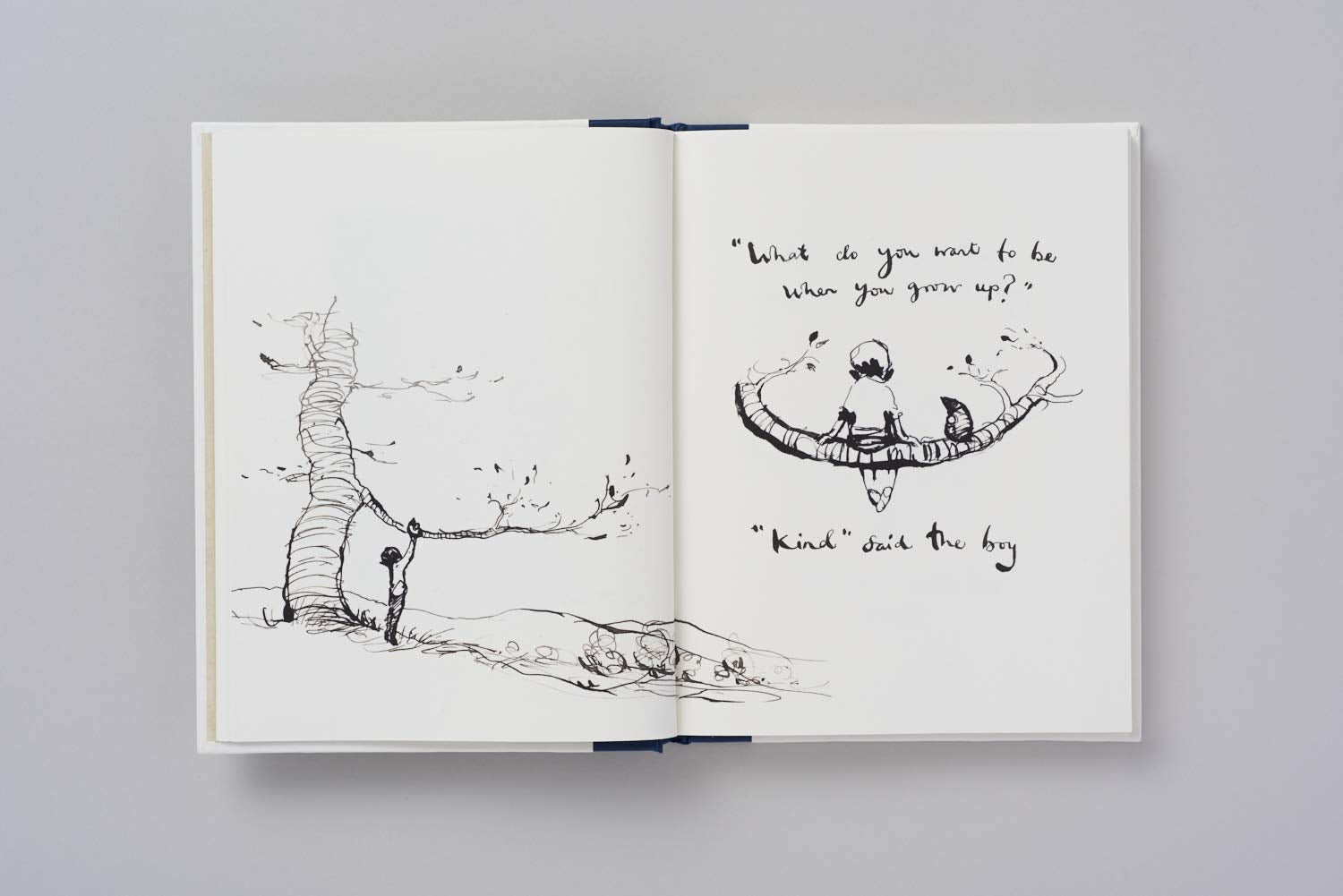 The Boy, The Mole, The Fox and The Horse /anglais used book depot