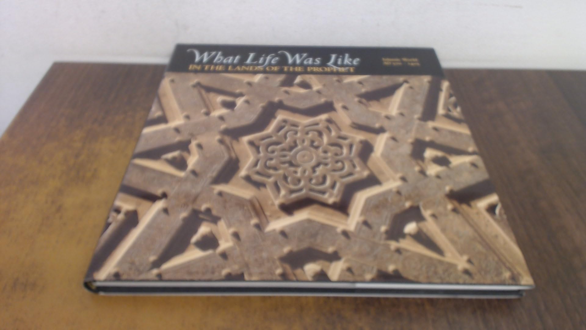 What Life Was Like in the Lands of the Prophet: Islamic World, Ad 570-1405 used book depot