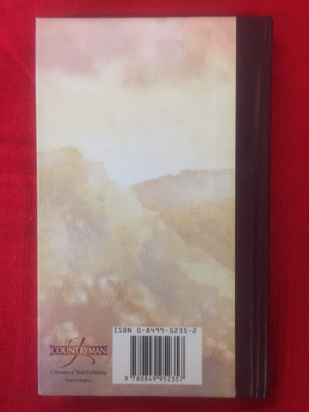 God's Inspirational Promise Book used book depot