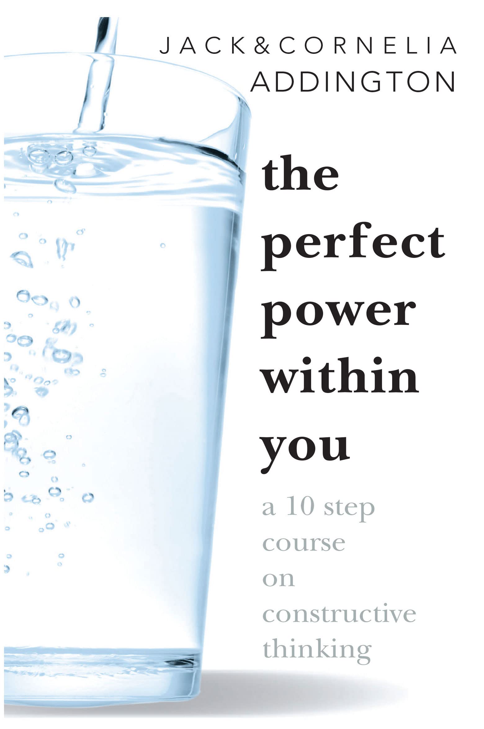 THE PERFECT POWER WITHIN YOU: A Ten Step Course on Constructive Thinking used book depot
