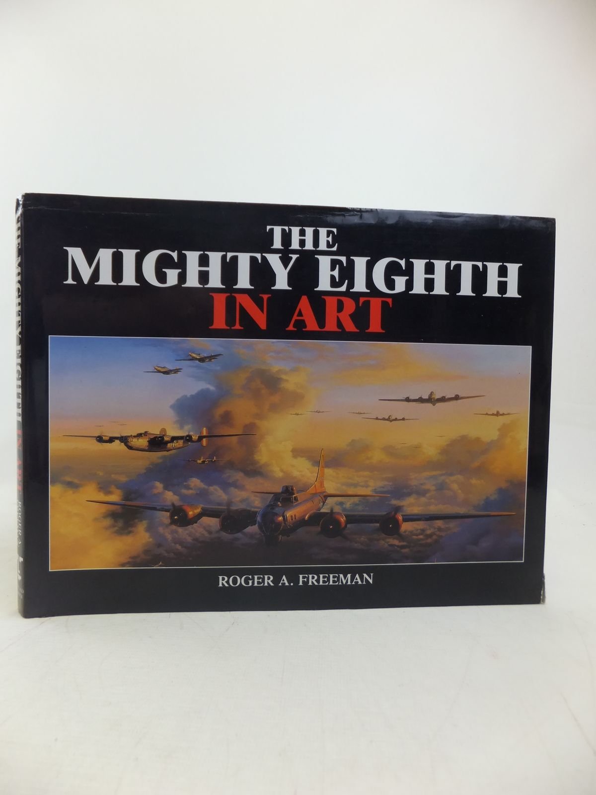 The Mighty Eighth in Art used book depot