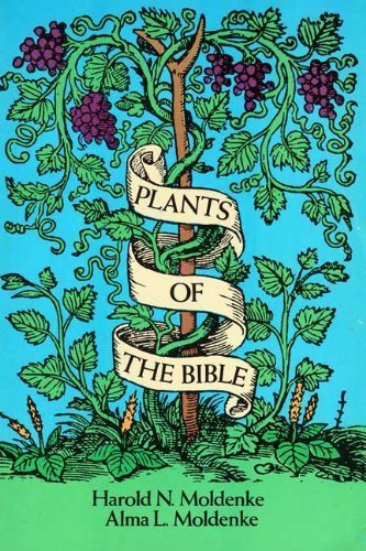 Plants of the Bible used book depot