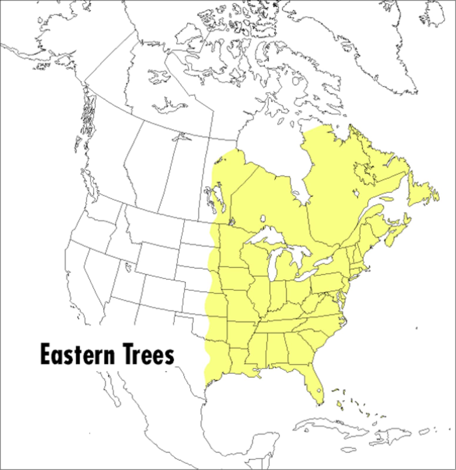 A Peterson Field Guide To Eastern Trees: Eastern United States and Canada, Including the Midwest (Peterson Field Guides) used book depot