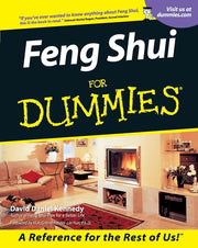 Feng Shui for Dummies used book depot