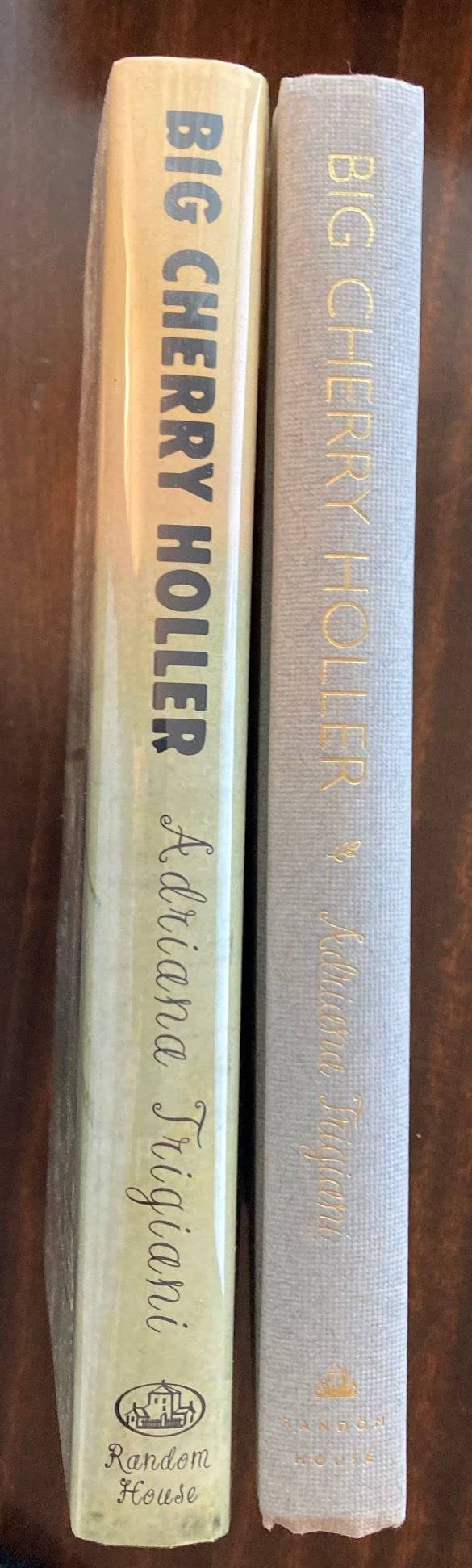Big Cherry Holler used book depot