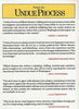 Undue Process a Story of How Political Differences Are Turned into Crimes