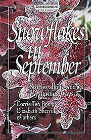 Snowflakes in September: Stories about God's Mysterious Ways used book depot