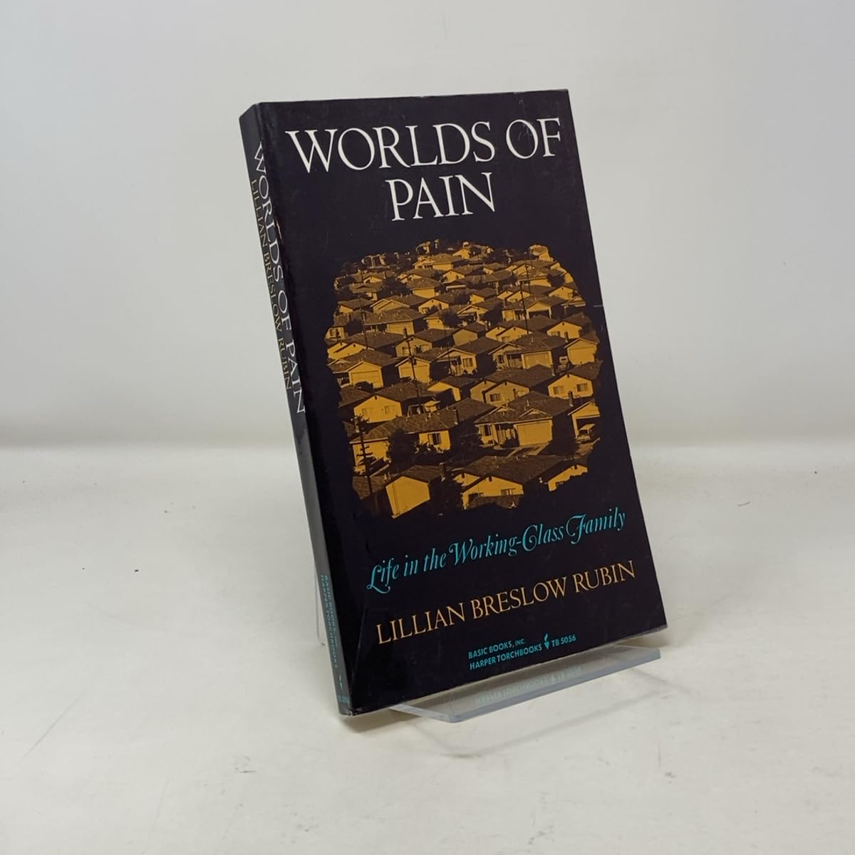 Worlds Of Pain: Life In The Working-class Family used book depot
