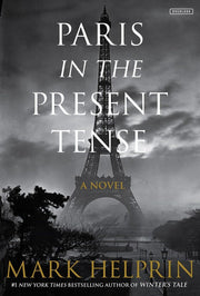 Paris in the Present Tense: A Novel used book depot