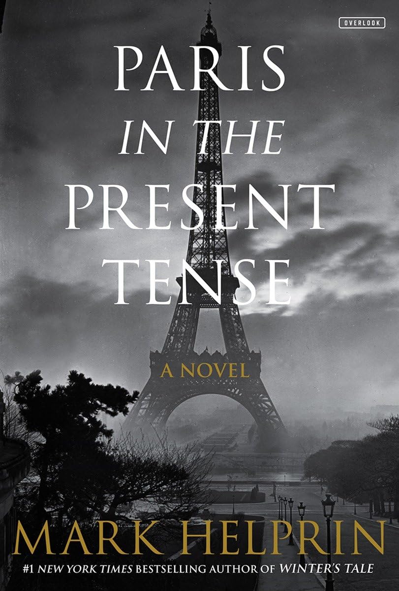 Paris in the Present Tense: A Novel used book depot