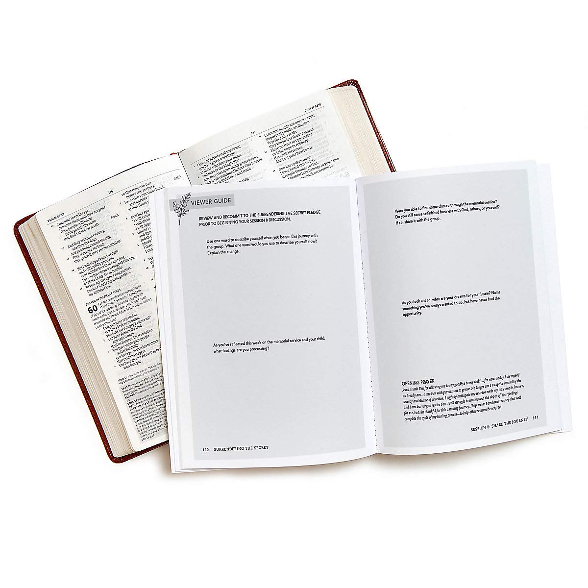 Surrendering the Secret - Bible Study Book: Healing the Heartbreak of Abortion used book depot