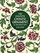 The Complete Chinese Ornament: All 100 Color Plates Dover Fine Art, History of Art Jones, Owen