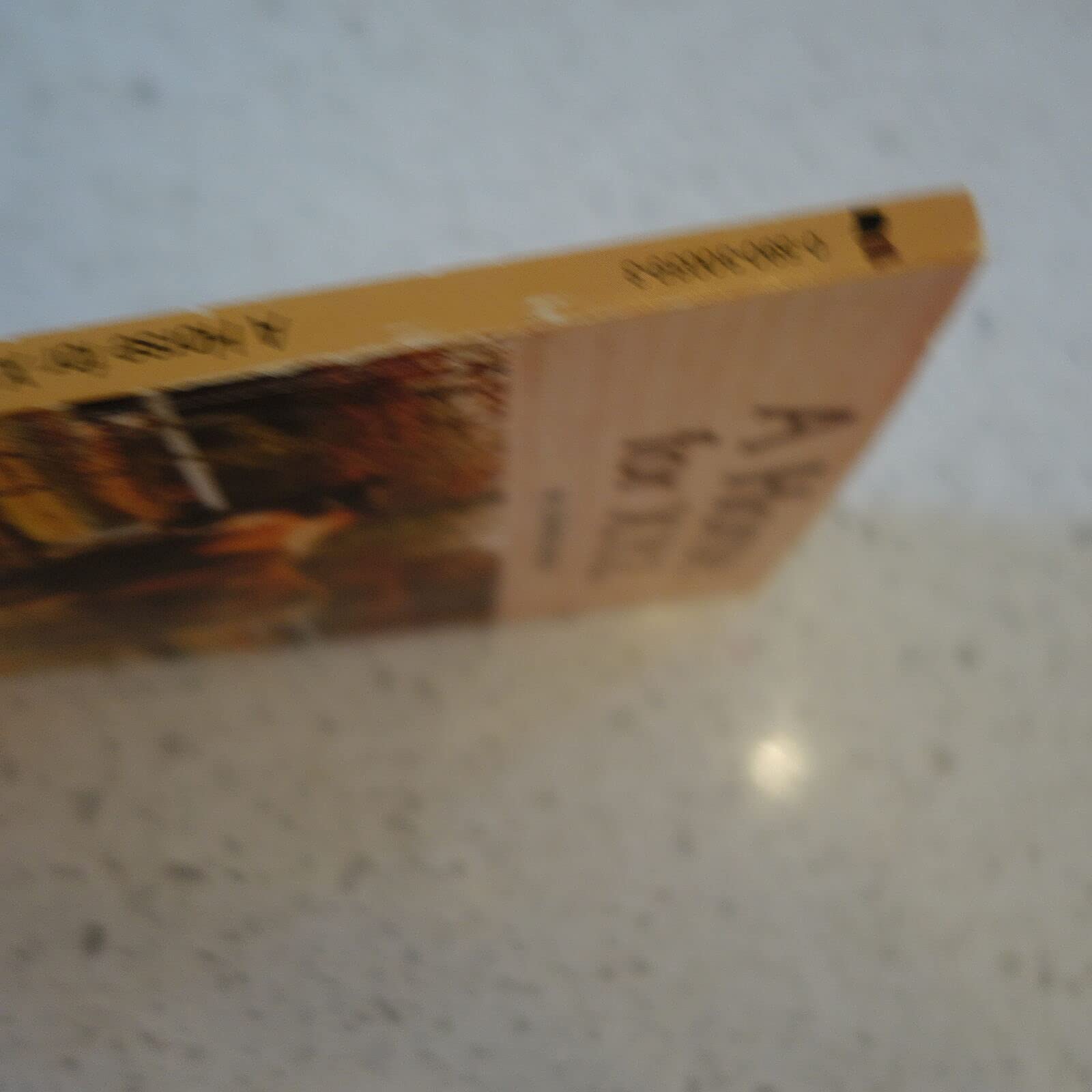 Horse for X.Y.Z. used book depot