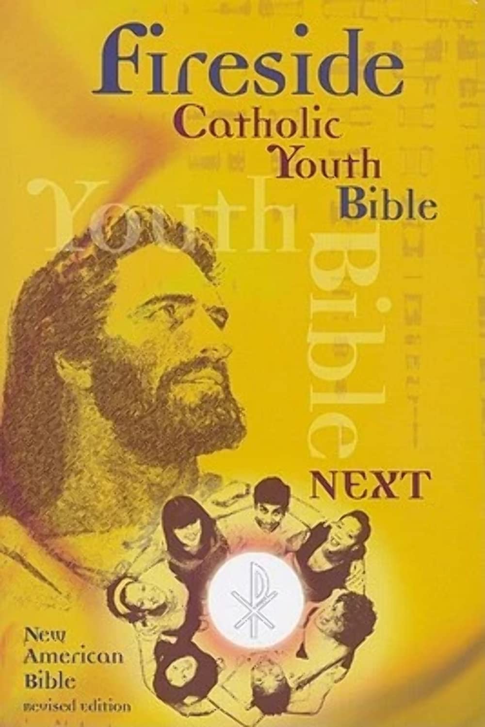 Fireside Catholic Youth Bible-Next!: New American Bible Revised Edition used book depot